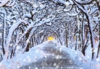 滑雪服下面穿什么好看