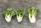 荆芥菜吗 既是香料又是野菜的双重身份