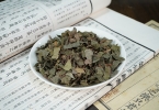 喝苦丁茶有什么作用？苦丁茶对男性身体和性功能的影响