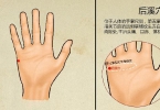 眼部周围的穴位