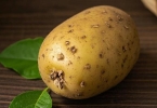 为什么建议糖尿病人把土豆当主食？怎么吃？吃多少？