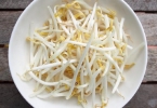 豆芽属于碳水还是蔬菜