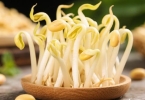 黄豆芽的脂肪含量是多少