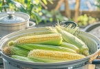 玉米粒煮几分钟能熟