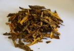 胃肠工能紊乱中医叫什么