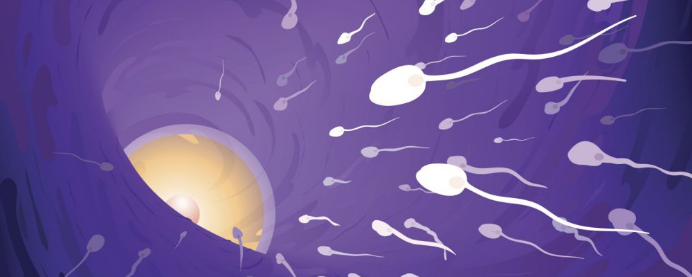 精子太稀怎么办？专项检查明确问题根源吗