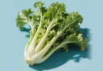 芥菜疙瘩为什么发苦