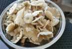 蘑菇属于碳水化合物吗