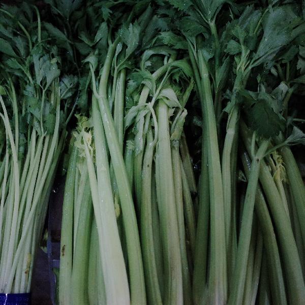 芹菜伤肾是谣言？医生提醒：想肾脏好，这 5 样食物要端上餐桌