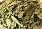 番泻叶能喝茶一起喝吗