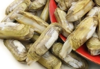 吃海鲜后腹泻可以用什么药