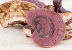 地榆的5大功效与作用，医生：这3类人不宜吃，地榆也有禁忌