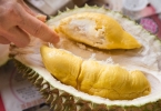 买榴莲怎么挑出好榴莲 怎么挑榴莲才能买到最好的榴莲