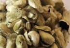 辛夷花骨朵能治鼻炎吗