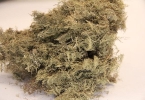 哪些中药可以减肥排油?