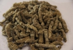 中药能治门静脉血栓吗？