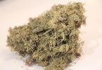腺肌症用中药调理能调好吗