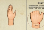 中医看手相能看出什么