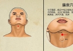 胳膊穴位在哪里