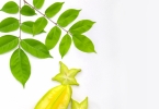 成熟的水蜜桃营养含量最高吗？揭秘不同阶段桃子的维生素变化