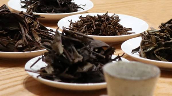 茶叶是血糖的杀手？医生忠告：不想血糖飙升，最好少喝5种茶