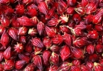 玫瑰花茶的正确泡法是什么