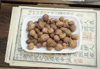 小孩子能吃砂仁吗 儿童减量脾胃虚寒可用
