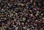 花椒和土豆可以治痔疮吗