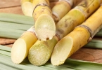什么食物能清肠什么食物能清肠