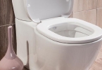 怎样用耳针疗法调治便秘