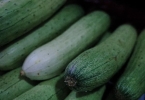 清肠蔬菜有哪些