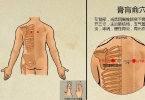 全身气血之海穴位是什么