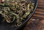 干蒲公英泡水喝的功效