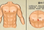 穴位贴矫正视力可以贴哪里
