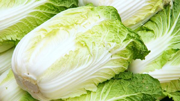 肺不好不能吃白菜？不想得肺气肿，牢记“1吃2不吃”