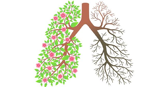 肺癌不是一天得的！从结节到癌，身体给了3次机会，抓住一次都能活