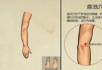 三伏贴贴什么穴位最好