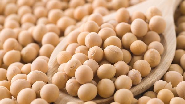 为什么你吃的黄豆效果不大？医生终于说透：关键不在“吃”，而在“怎么吃”