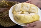 吃榴莲干会发胖吗